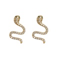 jewelry microinlaid zircon serpentine earrings colored diamond earrings jewelrypicture23
