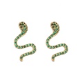 jewelry microinlaid zircon serpentine earrings colored diamond earrings jewelrypicture24