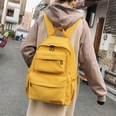 simple double pocket literary canvas bag cute Korean large capacity backpackpicture28