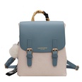 Cambridge bag pu leather ladies casual backpack fashion student school bag wholesalepicture27