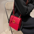 Small Bag 2021 New Fashion Retro Handbag Womens Bag Fashion Winter AllMatching Messenger Bag Small Square Bagpicture15