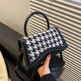 Korean Style Plaid Printed Western Style Leopard Print Personality Underarm Bag 2021 New Fashion Autumn and Winter Shoulder Crossbody Small Square Bagpicture14