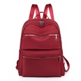 new winter fashion travel backpack nylon Oxford cloth small bag light and casual bagpicture12