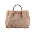 Textured Ins Minority Fashion Crossbody Furry Bag 2021 New Bags Womens Popular Autumn and Winter Plush Handbagpicture13