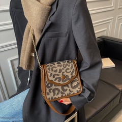 Super Popular Fashion Chain Crossbody Small Bag 2021 New Bags Women's Autumn and Winter Trendy Shoulder Underarm Small Square Bag