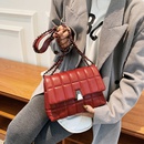texture bag autumn and winter new trendy allmatch messenger chain bag niche fashion shoulder bagpicture12