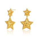 18K Gold FivePointed Star Pendant Minimalist Wind Minority Design Earrings Cold Wind Fog Surface European and American Earrings One Piece Dropshippingpicture10