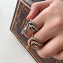 Amazon CrossBorder European and American Personalized Vintage Engraving Snake Ring for Women Simple Lettering Antique Silver Ring Ornament Wholesalepicture8