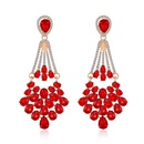 Vintage Red Crystal Earrings Best Seller in Europe and America Water Drop Long Tassel Bridal Wedding Earrings New Factory Wholesalepicture2