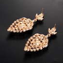 European and American fashion hollow geometric tassel golden drop earrings jewelry wholesalepicture11
