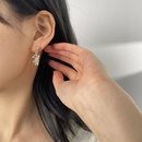 Sterling Silver Needle Korean Style Autumn and Winter New Super Shiny Cute Bear Ear Studs Retro Elegant Stars Earrings Earrings for Womenpicture8