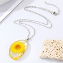 Korean geometric resin daisy dried flower necklace plant specimen immortal flower clavicle chain femalepicture9