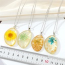 Korean geometric resin daisy dried flower necklace plant specimen immortal flower clavicle chain femalepicture13