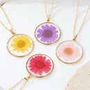 Bohemian natural dried flower transparent round resin necklacepicture10