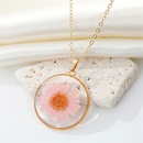 Bohemian natural dried flower transparent round resin necklacepicture12