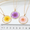 Bohemian natural dried flower transparent round resin necklacepicture13