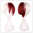 Fashion white color matching anime wig wholesalepicture12