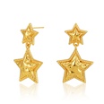 18K Gold FivePointed Star Pendant Minimalist Wind Minority Design Earrings Cold Wind Fog Surface European and American Earrings One Piece Dropshippingpicture11