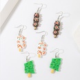 Europe and America Creative Simple Kebabs Resin Set Earrings Female Ins Trendy Exquisite Acrylic Earrings Jewelrypicture12