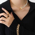 European and American Ins Internet Celebrity Dignified Sense of Design Freshwater Pearl Stitching Clavicle Necklace Female Winter New Jewelry P119picture12