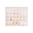 Korean Style New AllMatch 12 Pairs Earrings Set Pearl Flower Stars Heart SilverPlated Earrings Female Amazon Hotpicture35