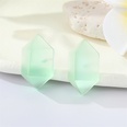 new simple candy color threedimensional geometric resin jelly earrings crossborderpicture16