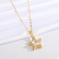 jewelry microinlaid star necklace simple fivepointed star pendant clavicle chain jewelrypicture18