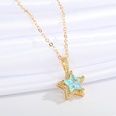 jewelry microinlaid star necklace simple fivepointed star pendant clavicle chain jewelrypicture19