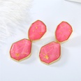 European and American crossborder Bohemia gold leaf resin color imitation natural stone earringspicture22