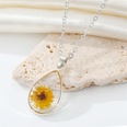 CrossBorder Sold Jewelry Drop Shape Transparent Resin Dried Flower Necklace Bohemian Preserved Fresh Flower Starry Clavicle Chainpicture17