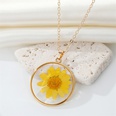 Bohemian natural dried flower transparent round resin necklacepicture14