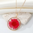 Bohemian natural dried flower transparent round resin necklacepicture15