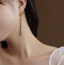 retro full diamond zircon long tassel titanium steel 18k gold earrings wholesalepicture12