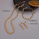 European and American roll thick chain necklace titanium steel earrings braceletpicture10