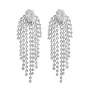 Temperament new Korean diamond earrings long tassel zircon earringspicture9
