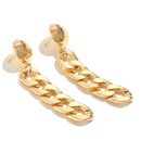 new earrings fashion long buckle earrings European and American metal wild chain earringspicture10