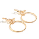 Wholesale fashion exaggerated retro circle earrings geometric snakeshaped golden personalized earringspicture11