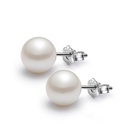Korean version pearl earrings cupronickel temperament pearl ear jewelry wholesalepicture6