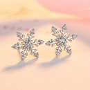 Korean version new snowflake earrings diamond creative zircon earrings wholesalepicture6