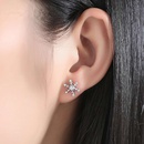 Korean version new snowflake earrings diamond creative zircon earrings wholesalepicture9