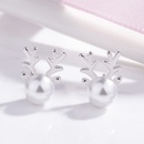 Korean version elk pearl antler earrings pearl earrings fashion jewelrypicture7