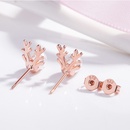 Korean version elk pearl antler earrings pearl earrings fashion jewelrypicture10