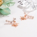 Korean fashion diamond star earrings eightpointed star earrings personality ins jewelrypicture10