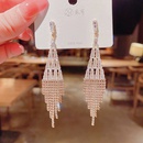 Fashion long tassel personalized copper inlaid zircon earrings wholesalepicture7