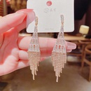 Fashion long tassel personalized copper inlaid zircon earrings wholesalepicture10