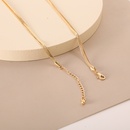 new multilayer snake bone necklace wholesale creative personality clavicle chain necklacepicture8