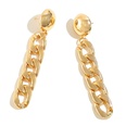 new earrings fashion long buckle earrings European and American metal wild chain earringspicture13