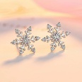 Korean version new snowflake earrings diamond creative zircon earrings wholesalepicture10