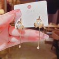 Fashion geometric pearl tassel copper earrings wholesalepicture13