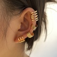 New creative simple nonpierced ear bone clip fivepiece hollow multilayer earrings wholesalepicture15